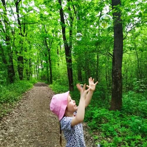 Photo #13683860
