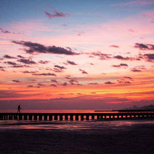 Photo #13683982