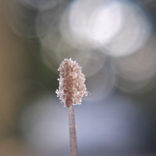 Photo #13684097