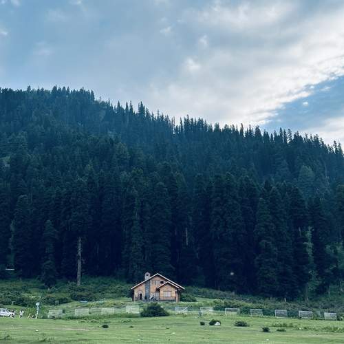 Photo #13684182