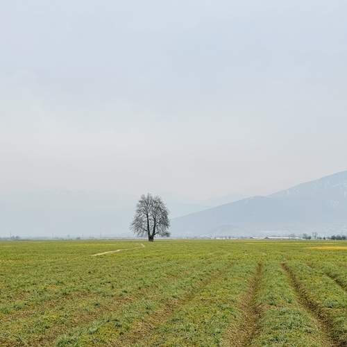 Photo #13684183