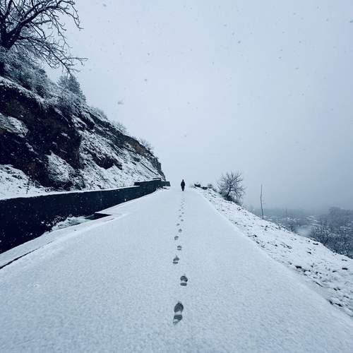 Photo #13684184