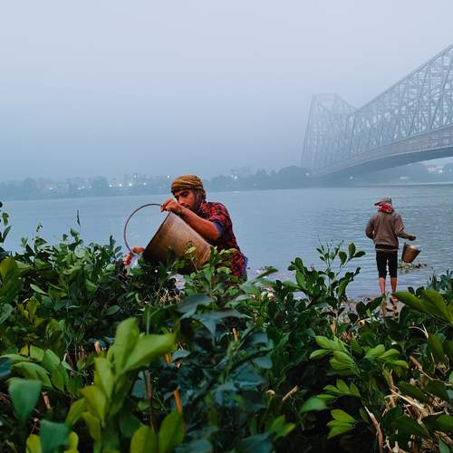 Photo #13684194