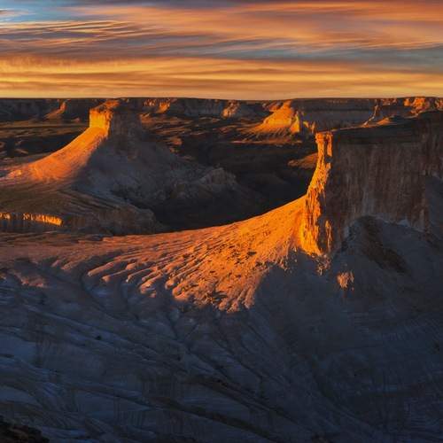 Photo #13684199