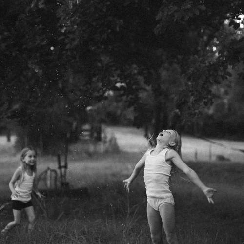 Photo #13684288