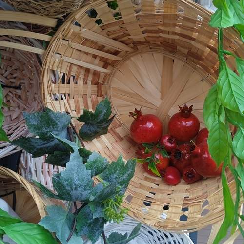 Photo #13684345