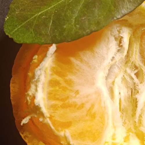 Photo #13684355