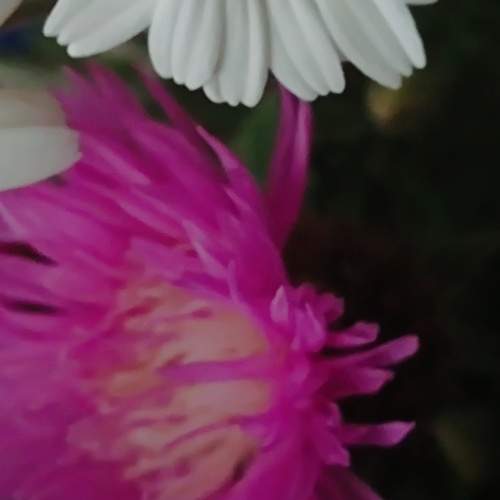 Photo #13684373