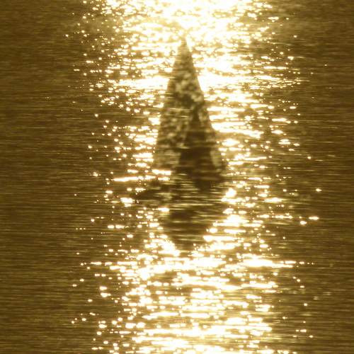 Photo #13684390