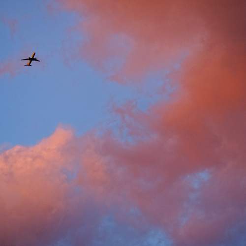 Photo #13684397
