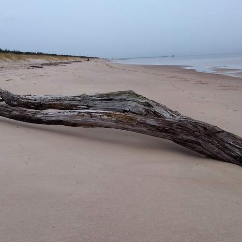 Photo #13684412