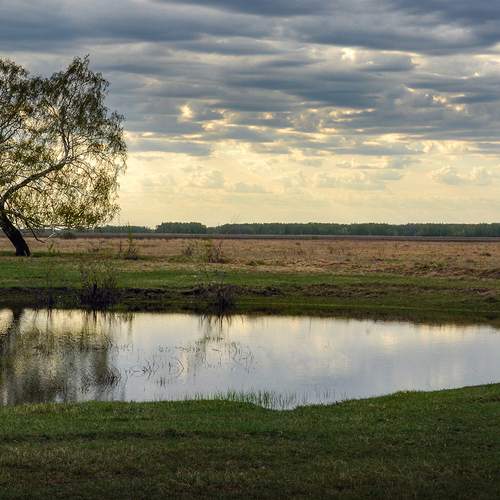 Photo #13684419