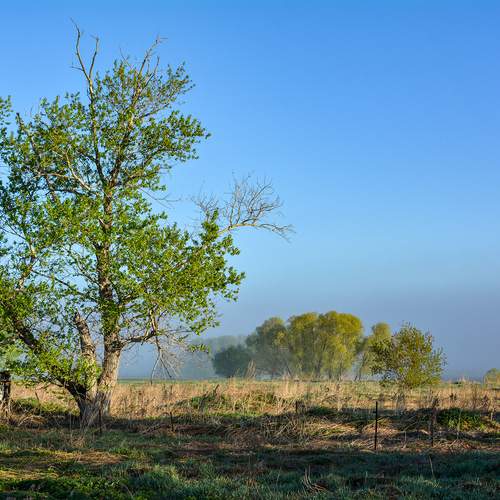 Photo #13684420