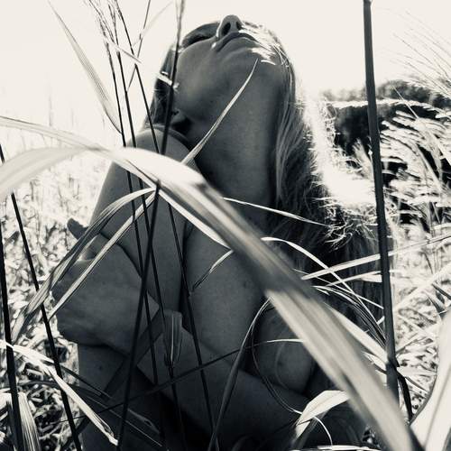 Photo #13684444
