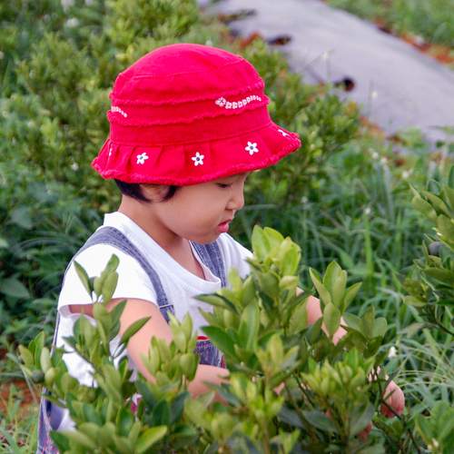 Photo #13684555