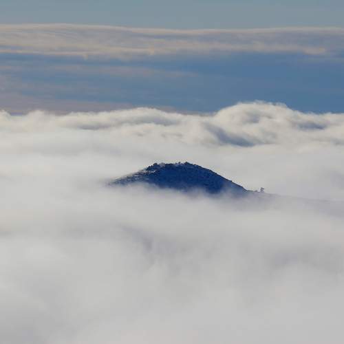 Photo #13684570