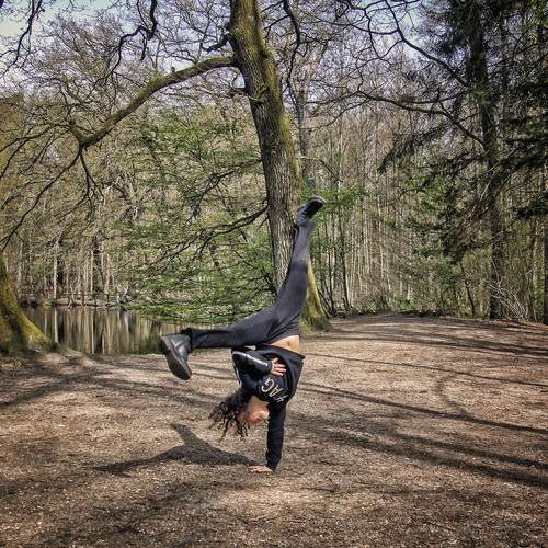 Photo #13684576