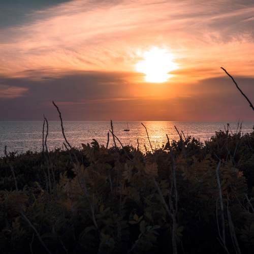 Photo #13684625