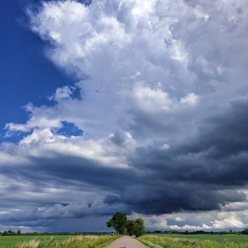 Photo #13684782