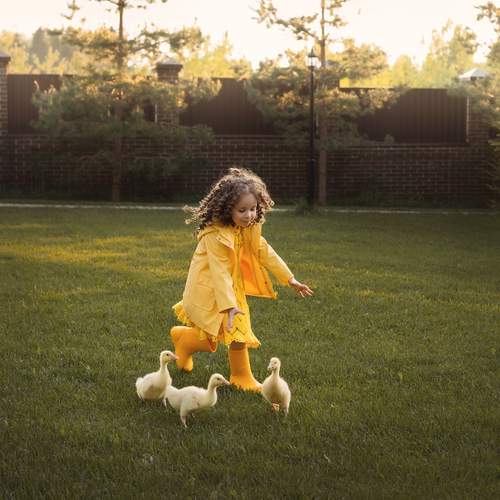 Photo #13684786