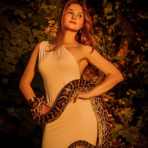 Photo #13684787