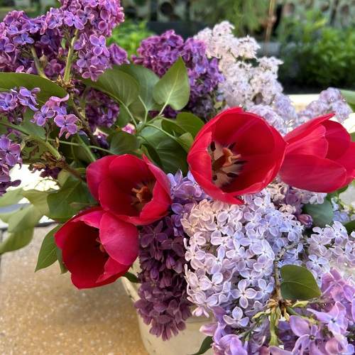 Photo #13684907