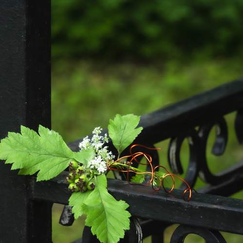 Photo #13684958