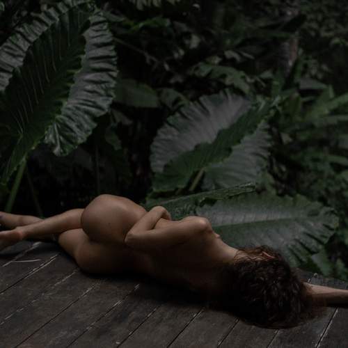 Photo #13684966