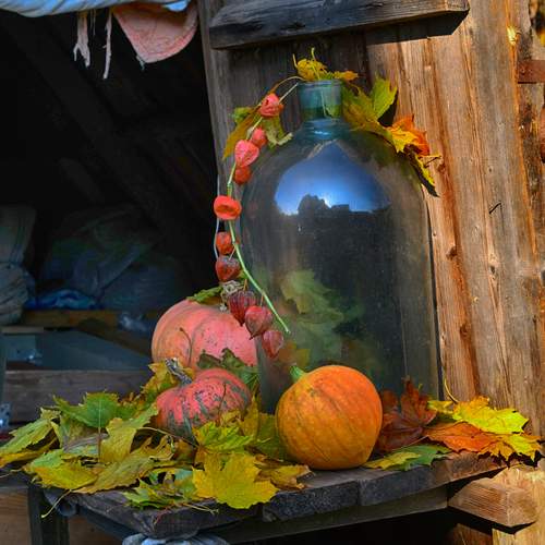 Photo #13685168