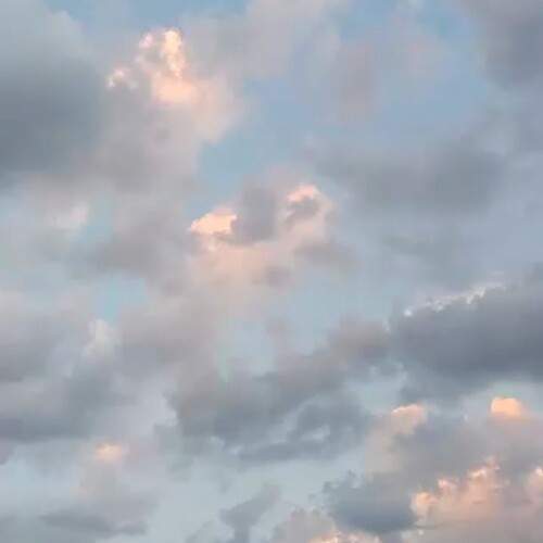 Photo #13685228