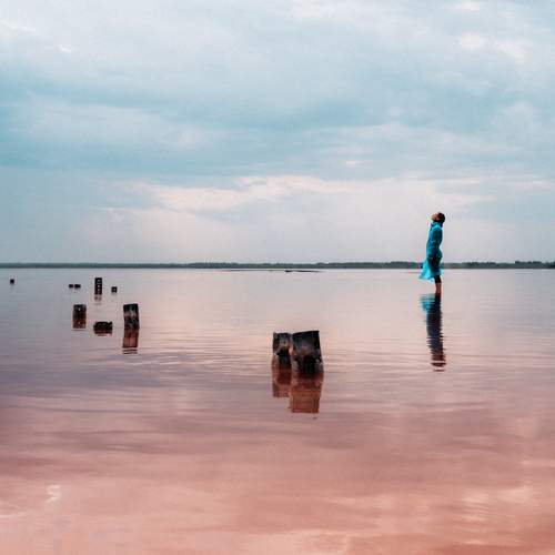 Photo #13685237