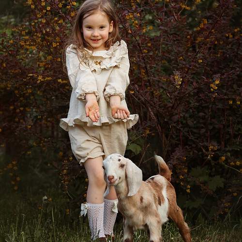 Photo #13685251