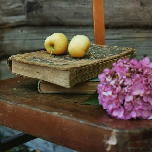 Photo #13685321