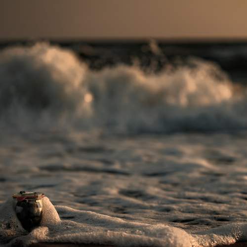 Photo #13685339