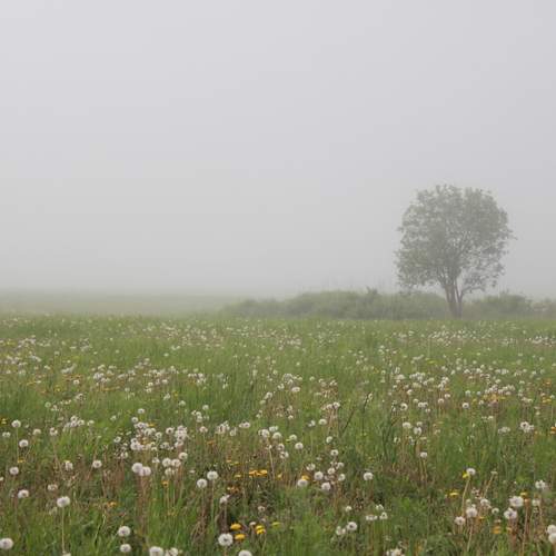 Photo #13685392