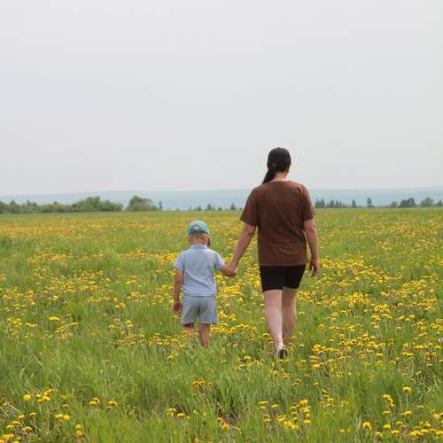 Photo #13685454