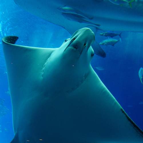 Photo #13685580