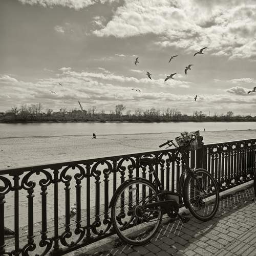 Photo #13685613
