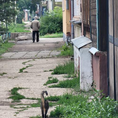 Photo #13685679