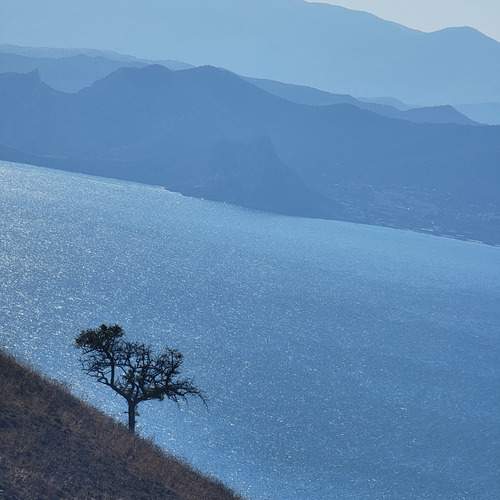 Photo #13685681