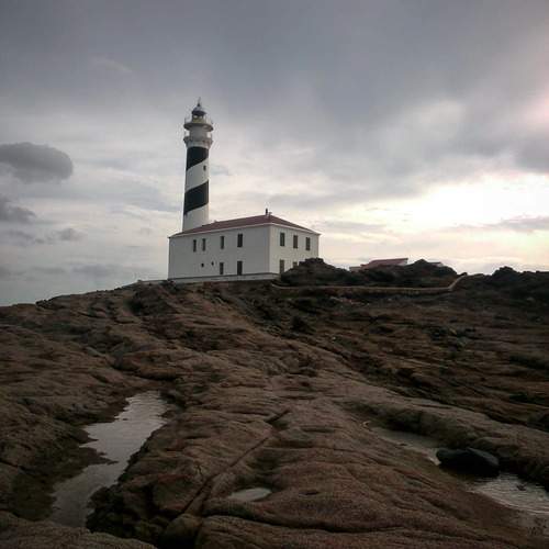 Photo #13685816