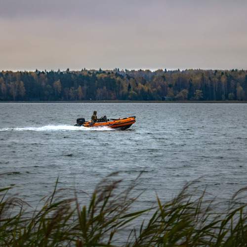 Photo #13685820