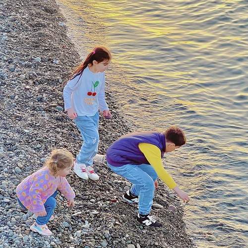 Photo #13686039