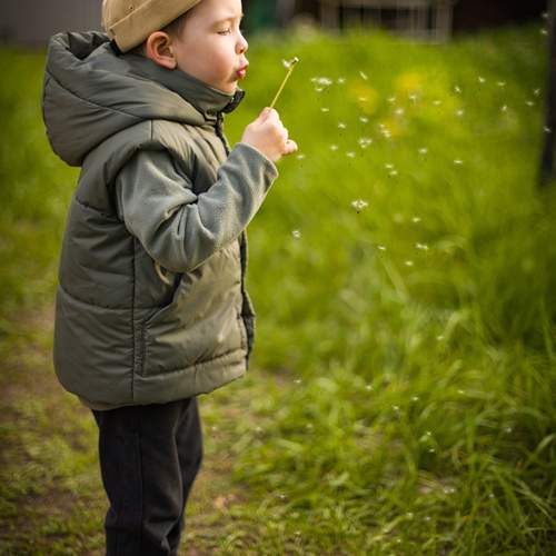Photo #13686053