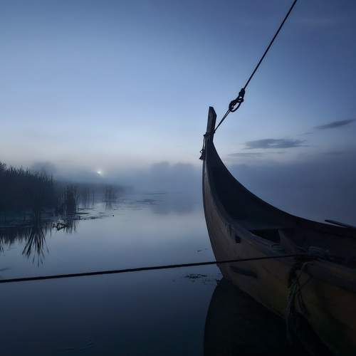 Photo #13686166