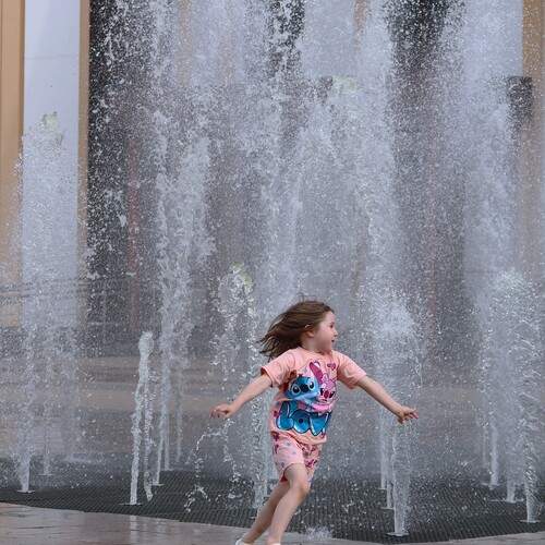 Photo #13686251