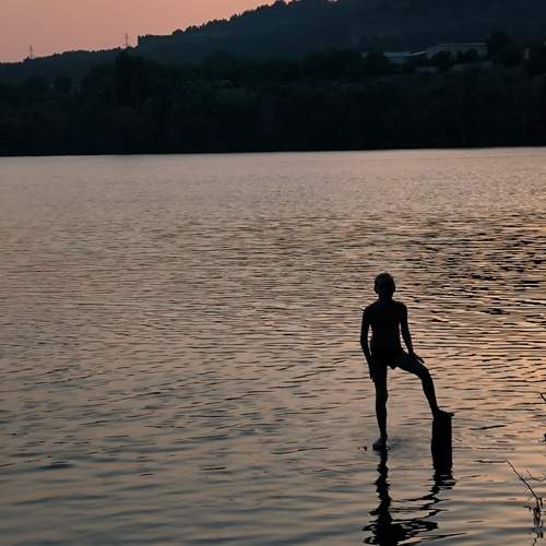 Photo #13686321