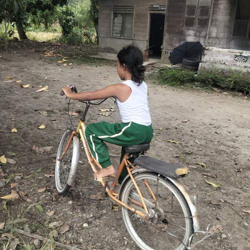 Photo #13686374
