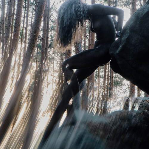 Photo #13686377