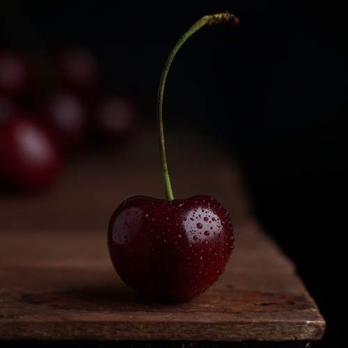 Photo #13686422
